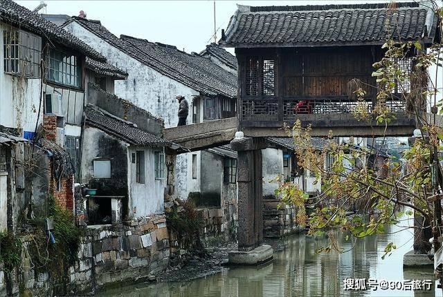 逃离橡子树种植地